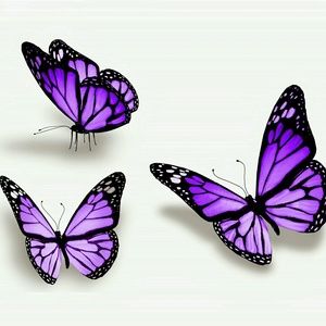 Meet your Posher, Samone